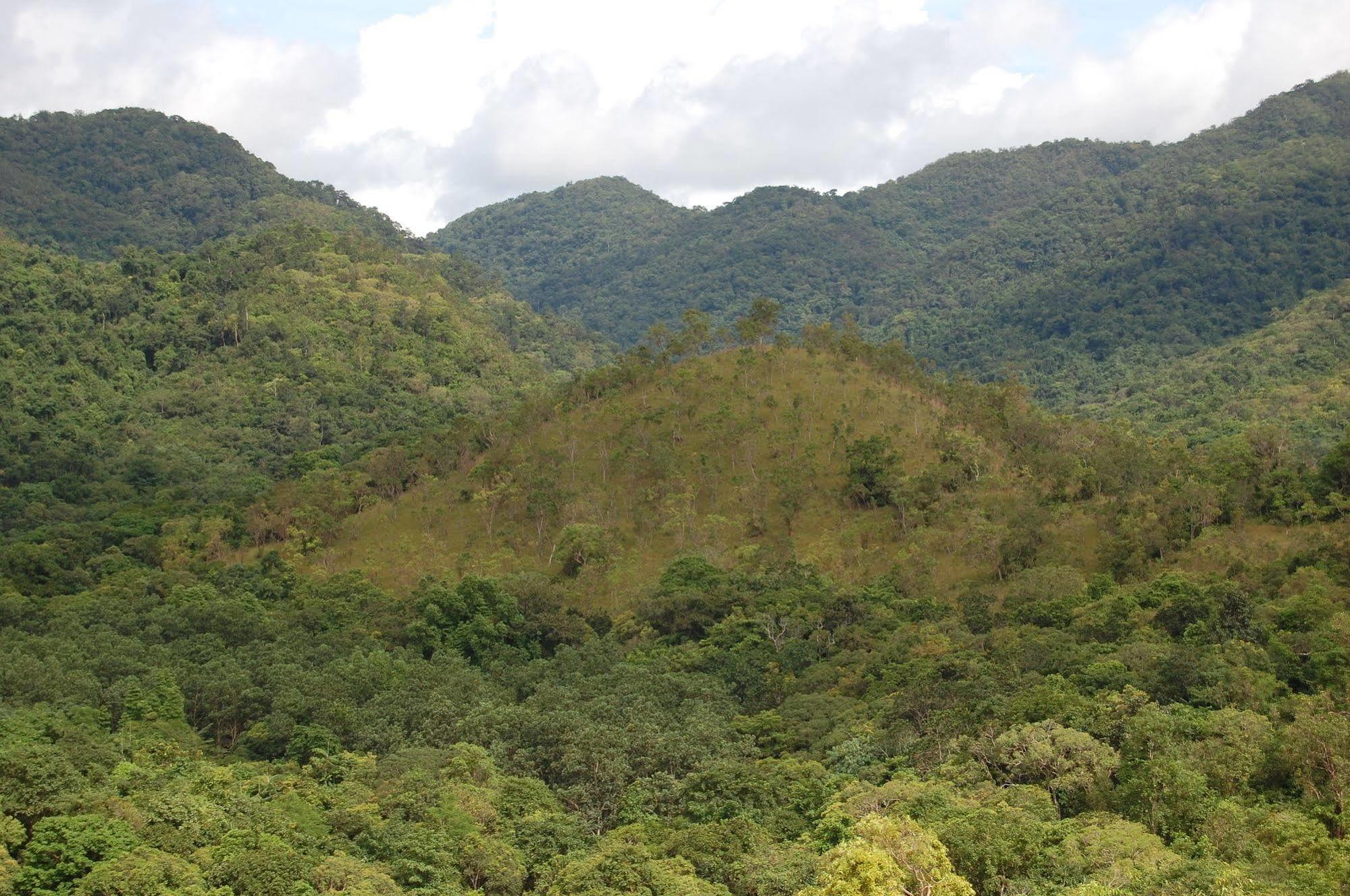 Busuanga Island Paradise Eksteriør bilde